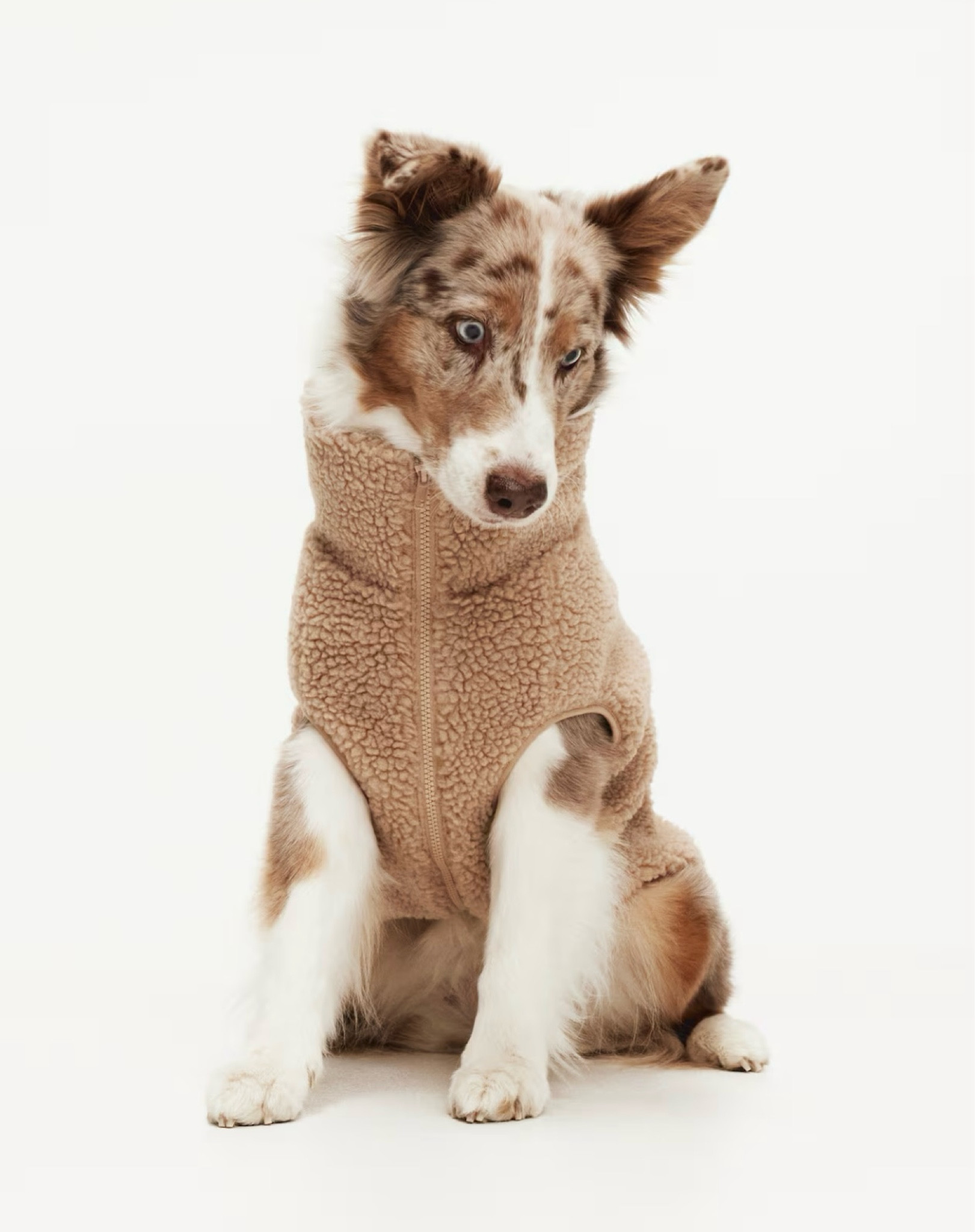 Cutest Sherpa dog jacket is going fast! 🔥 sizes XXS to large 

#LTKStyleTip #LTKFindsUnder50 #LTKFamily