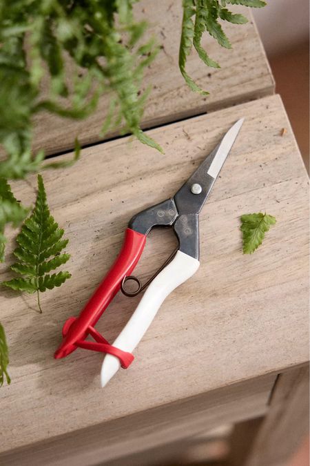 Elevate your gardening game with these premium Japanese thinning shears! Made with sharp, high carbon steel blades, these shears offer precision cutting, making them ideal for fruit and leaf trimming, flower and herb cutting, deadheading, and more.

The vibrant, wrapped handles not only add a splash of color to your toolkit but also ensure a comfortable grip, allowing you to work with ease and confidence. 

Perfect for both hobbyists and professional gardeners, these shears are a must-have for any green thumb. Order yours today and experience the difference in quality and performance! 

#LTKSeasonal #LTKHome #LTKFindsUnder50
