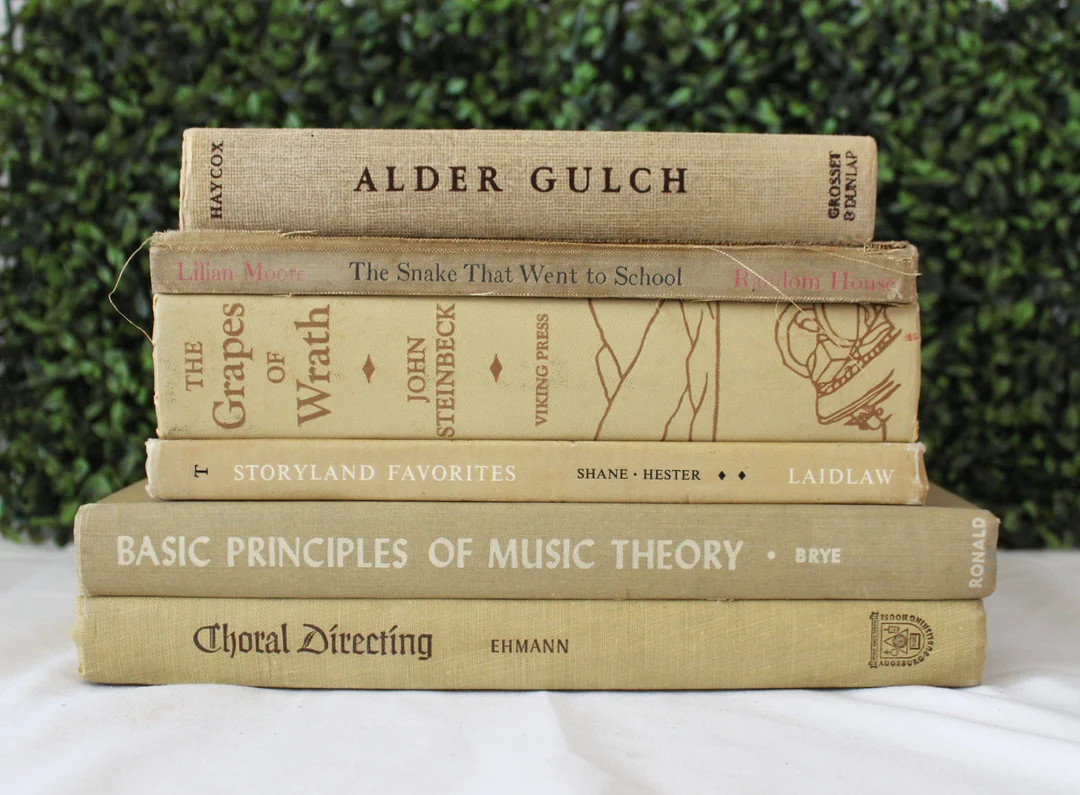 Neutral Brown Vintage Book Set for Decor, Decorative Books, Color Block Book Bundle, Beige Book S... | Etsy (US)