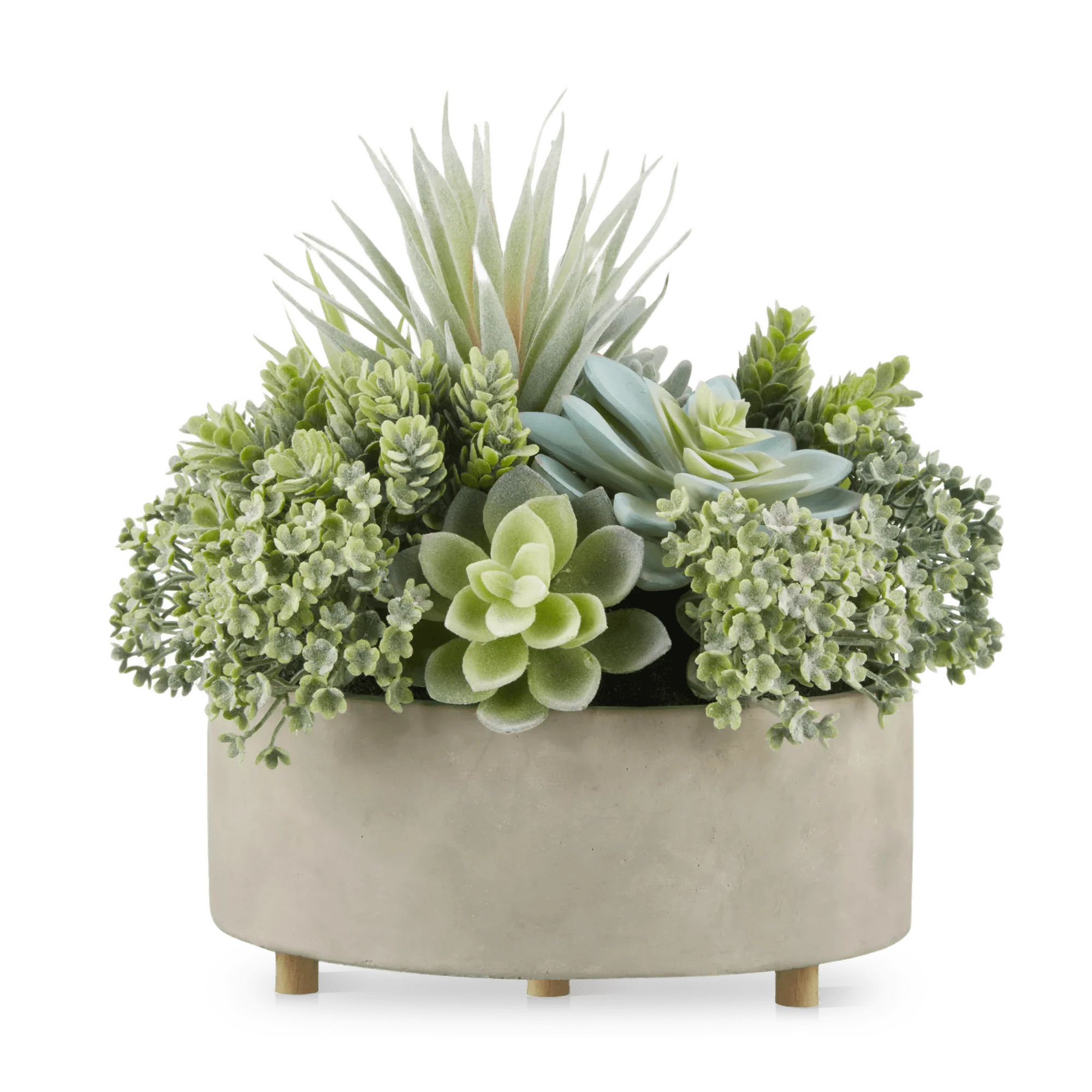 Mixed Artificial Agave in Cement Planter | Bouclair