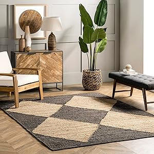 nuLOOM Pandora Diamond Jute Area Rug - 3x5 Jute Accent Rug Global Inspired Black/Ivory Rugs for D... | Amazon (US)