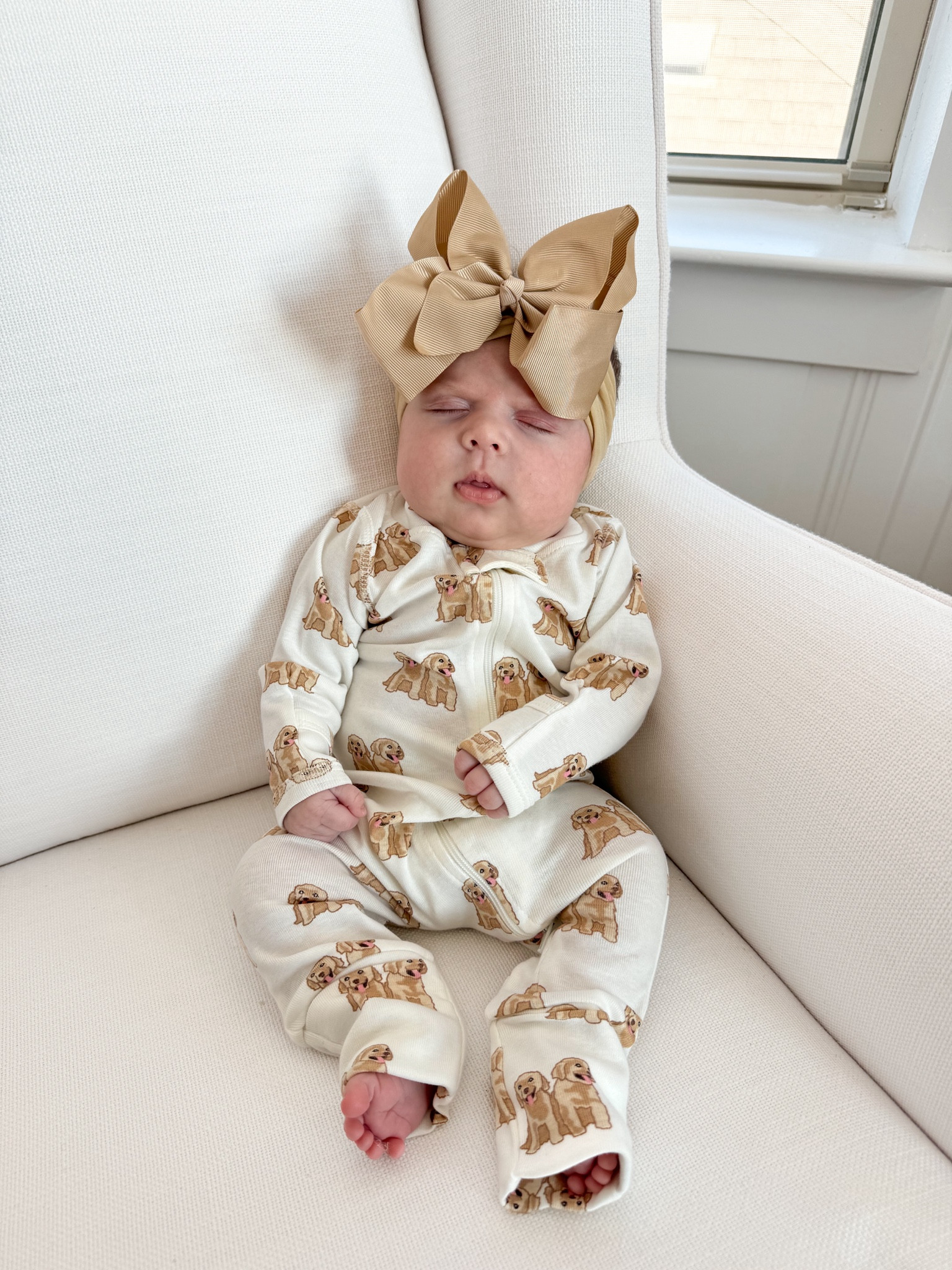 How cute is this golden retriever rompee 🥹 I also love how her Amazon bows don’t miss - there’s a color for EVERYTHING! 

Baby bows, Walmart baby finds, Walmart baby outfits, Amazon baby finds, baby girl bows, affordable baby clothes 

#LTKBaby #LTKBump #LTKKids