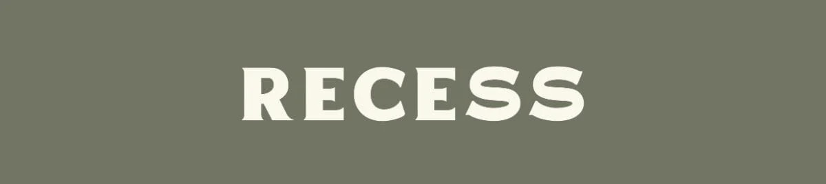 Pickleball Paddle Set | Recess Pickleball