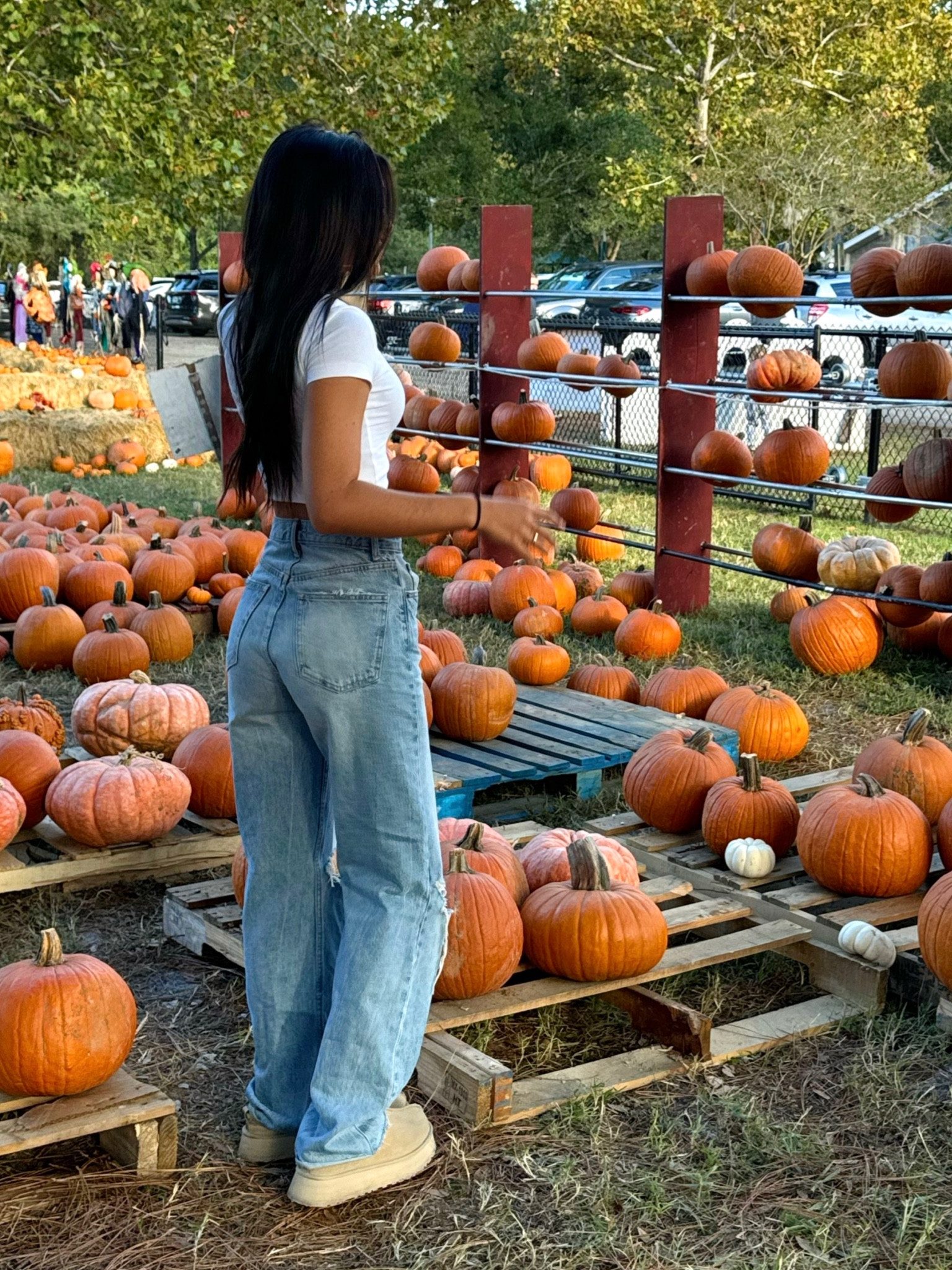 pumpkin patch fit!