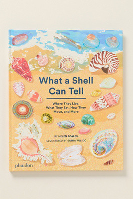 What A Shell Can Tell Hardcover Kids Book | Anthropologie (US)
