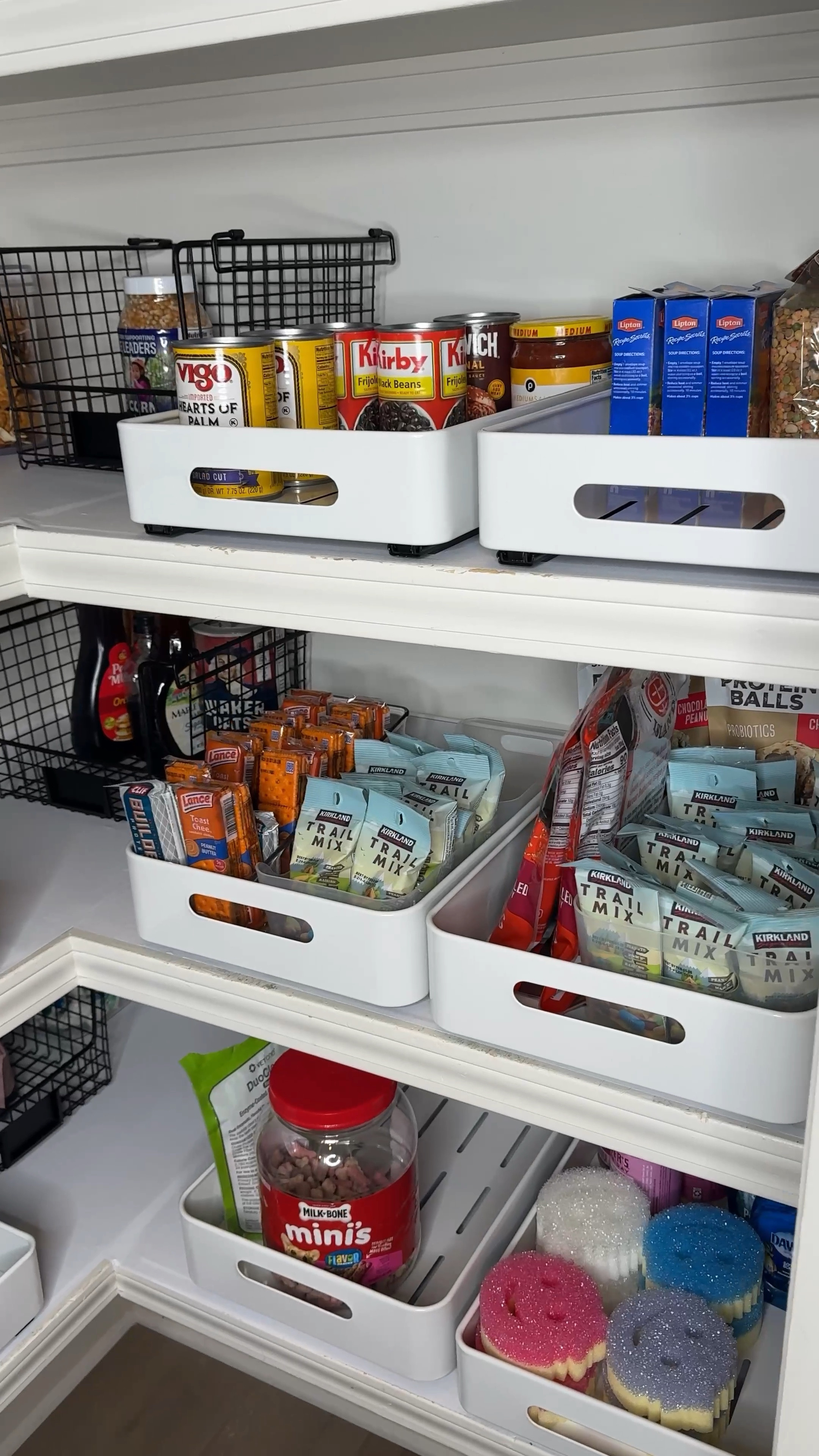 Hands down…best pantry organizer!!! 

#LTKVideo #LTKFindsUnder50 #LTKHome