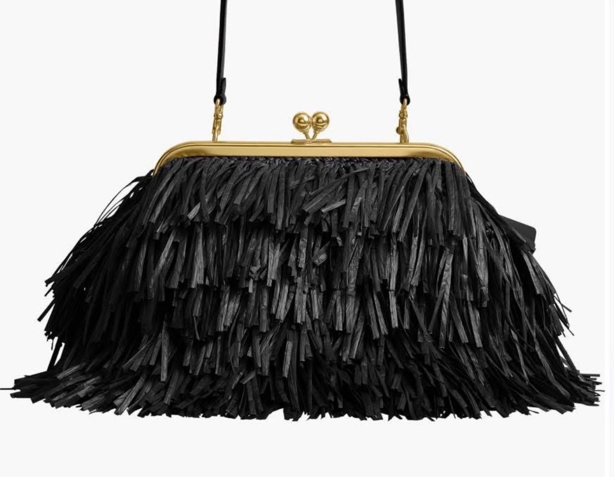 Fringe Coach Kisslock on black

#LTKmomlife #LTKgrwm #LTKdayinmylife