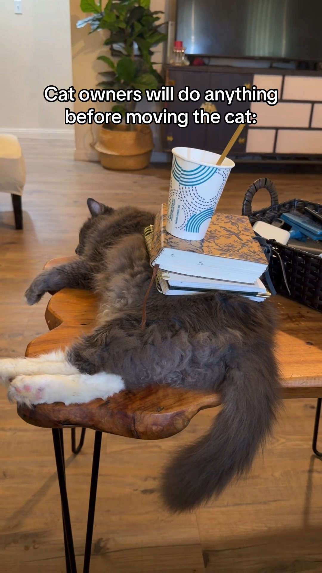 Planner and journal get a cozy little bed I guess

#LTKHome #LTKmorningroutine #LTKselfcare