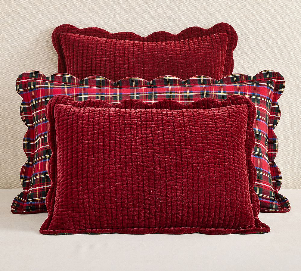 Velvet Scalloped Stewart Plaid Reversible Quilted Sham | Pottery Barn (US)