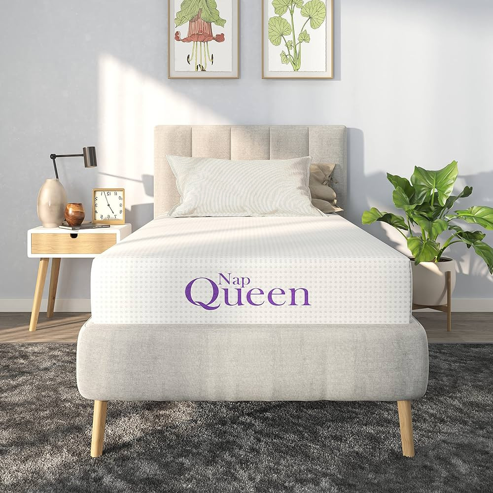 NapQueen 8 Inch Twin Size Mattress, Bamboo Charcoal Memory Foam Mattress, Bed in a Box | Amazon (US)
