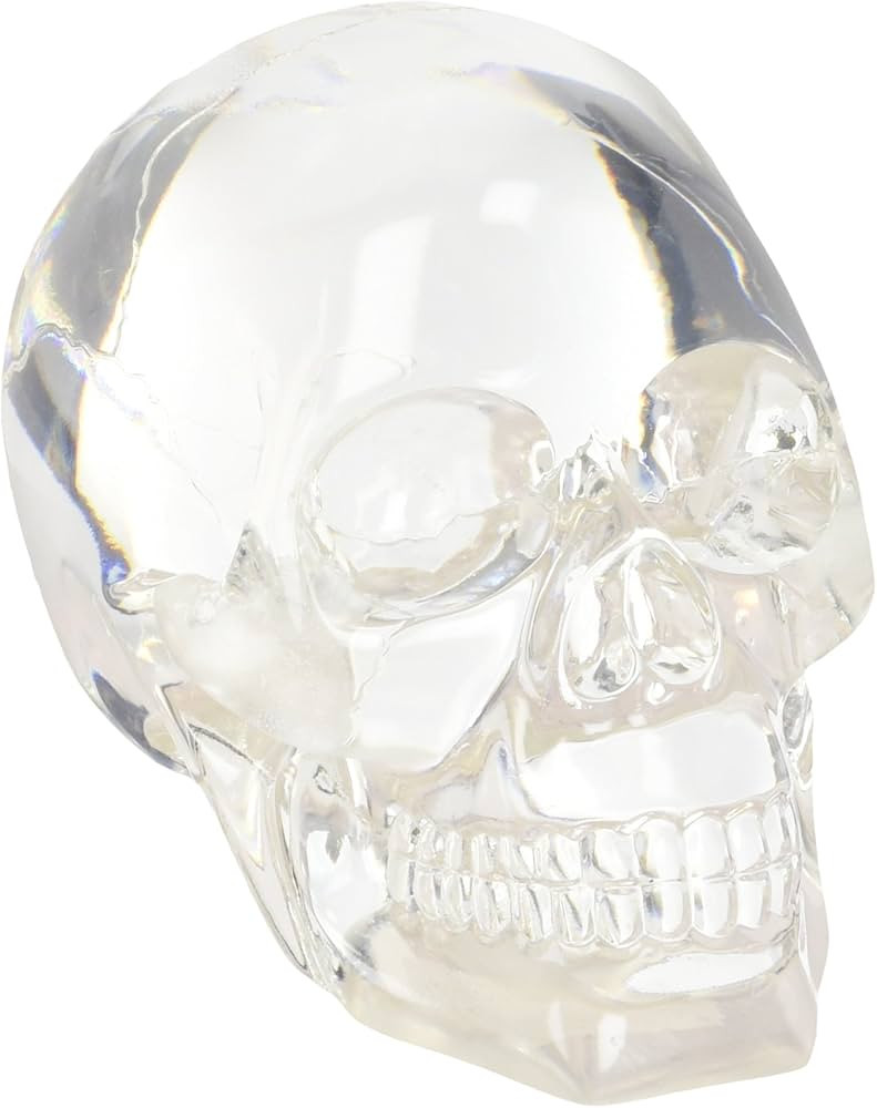 Clear Translucent Skull Collectible Figurine | Amazon (US)