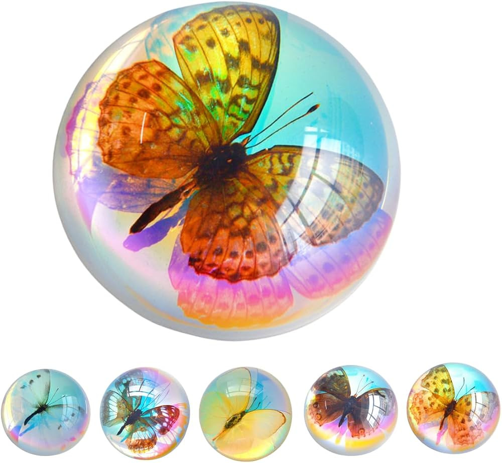 Real Butterfly Specimens, Resin Insect Specimens, Educational Bugs Specimen Set for Kids, Prescho... | Amazon (US)