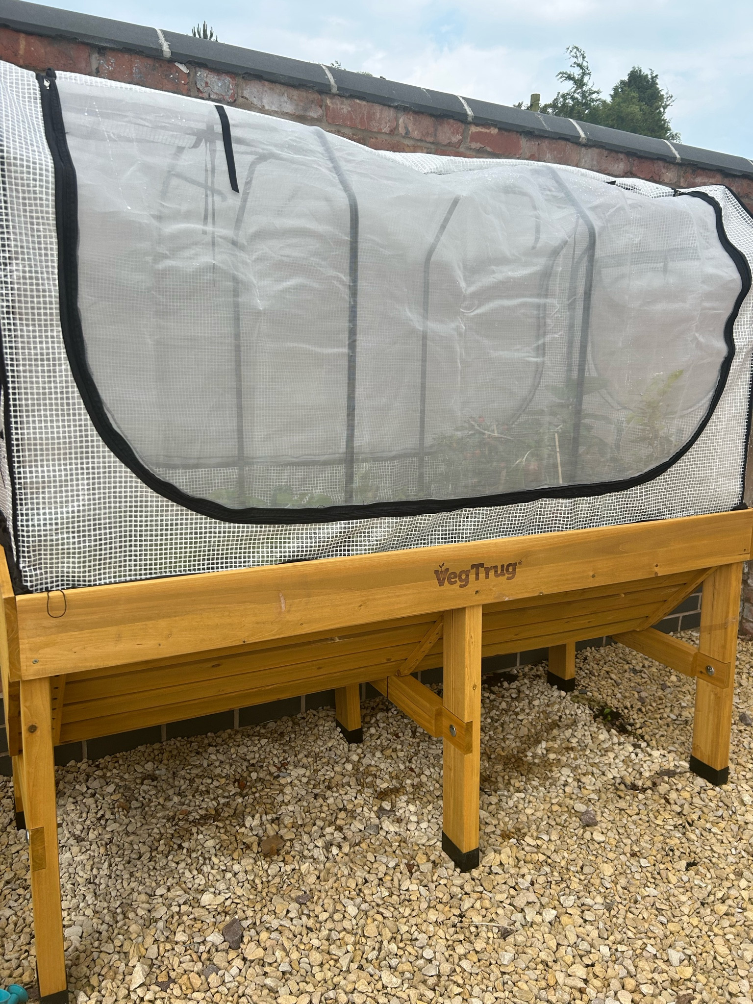 Veg Trug canopy 🥒🍓

Keeps everything protected but it’s double layered so you can have it covered with the thin mesh layer or the thicker layer.

Comes in both the medium trug size that we have or the smaller size too. I’ve tagged a few places you can get this so look for the best deal! 

#LTKhome #LTKSeasonal #LTKfamily