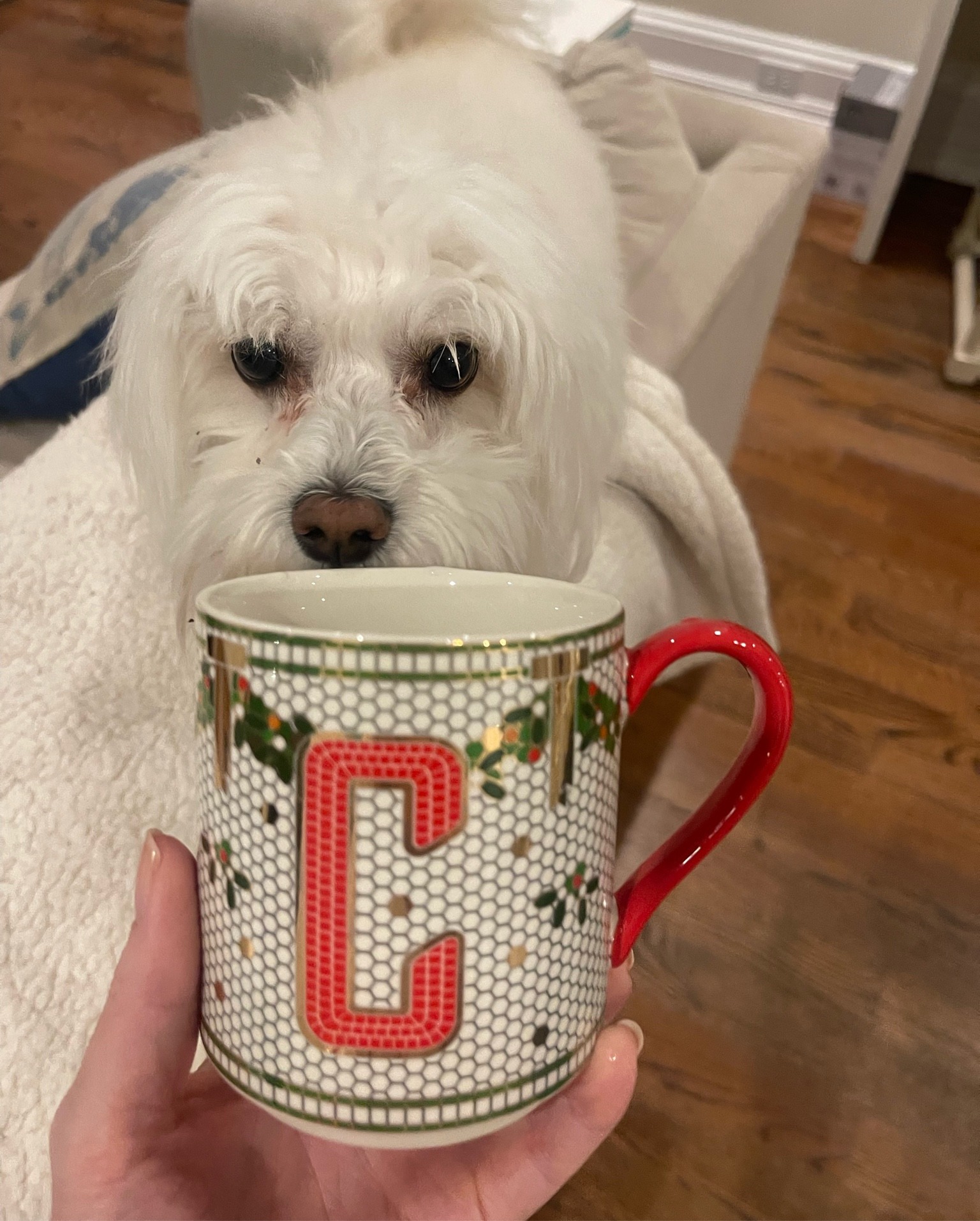 Loving my new festive mug for coffee, tea or hot chocolate. C is for Clarke and for Coco! Cheers!☕️❤️💚

#LTKGiftGuide #LTKSeasonal #LTKHoliday