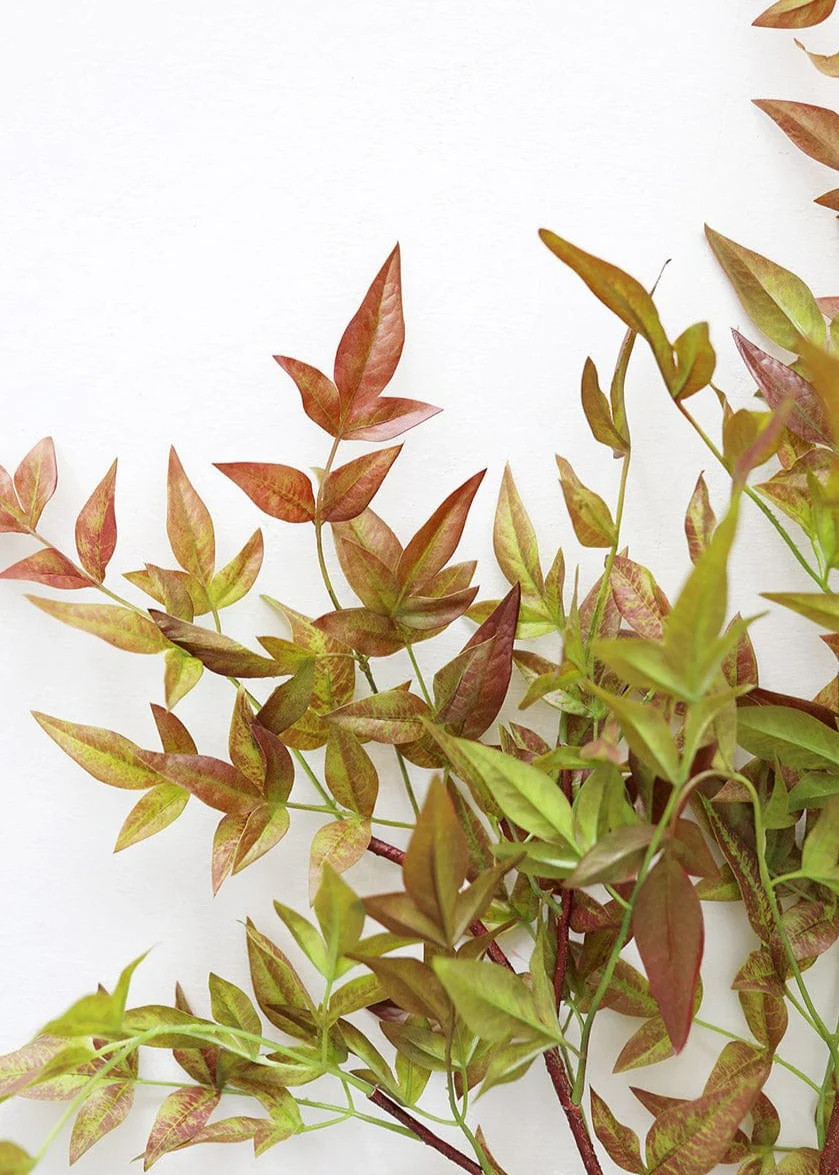 Artificial Nandina Leaf Branch - 39 | Afloral (US)