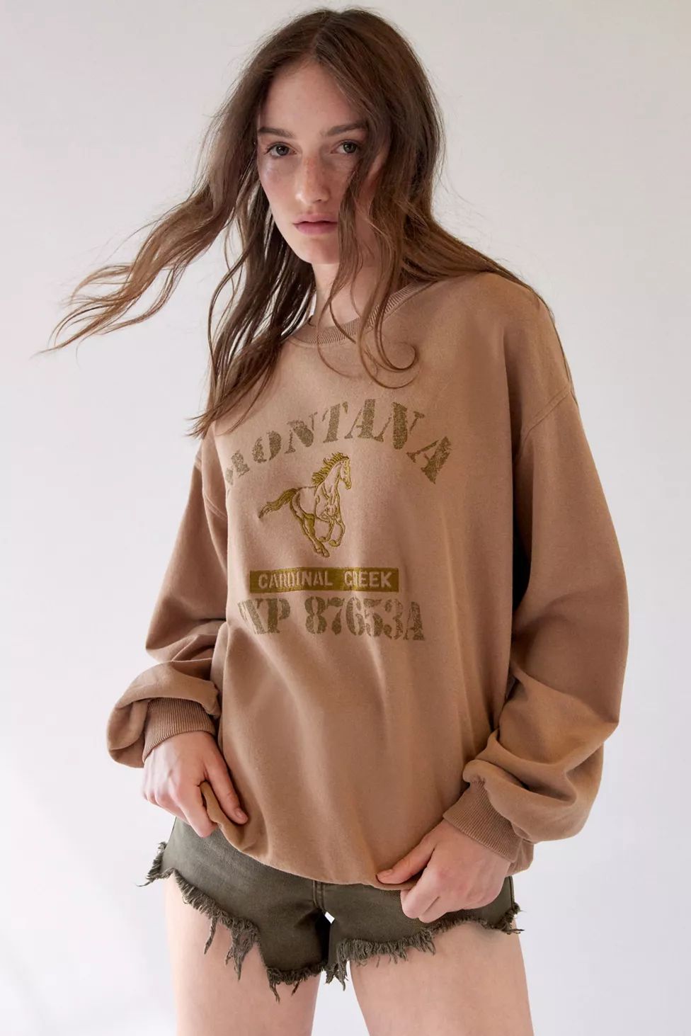 Montana Embroidered Pullover Sweatshirt | Urban Outfitters (US and RoW)
