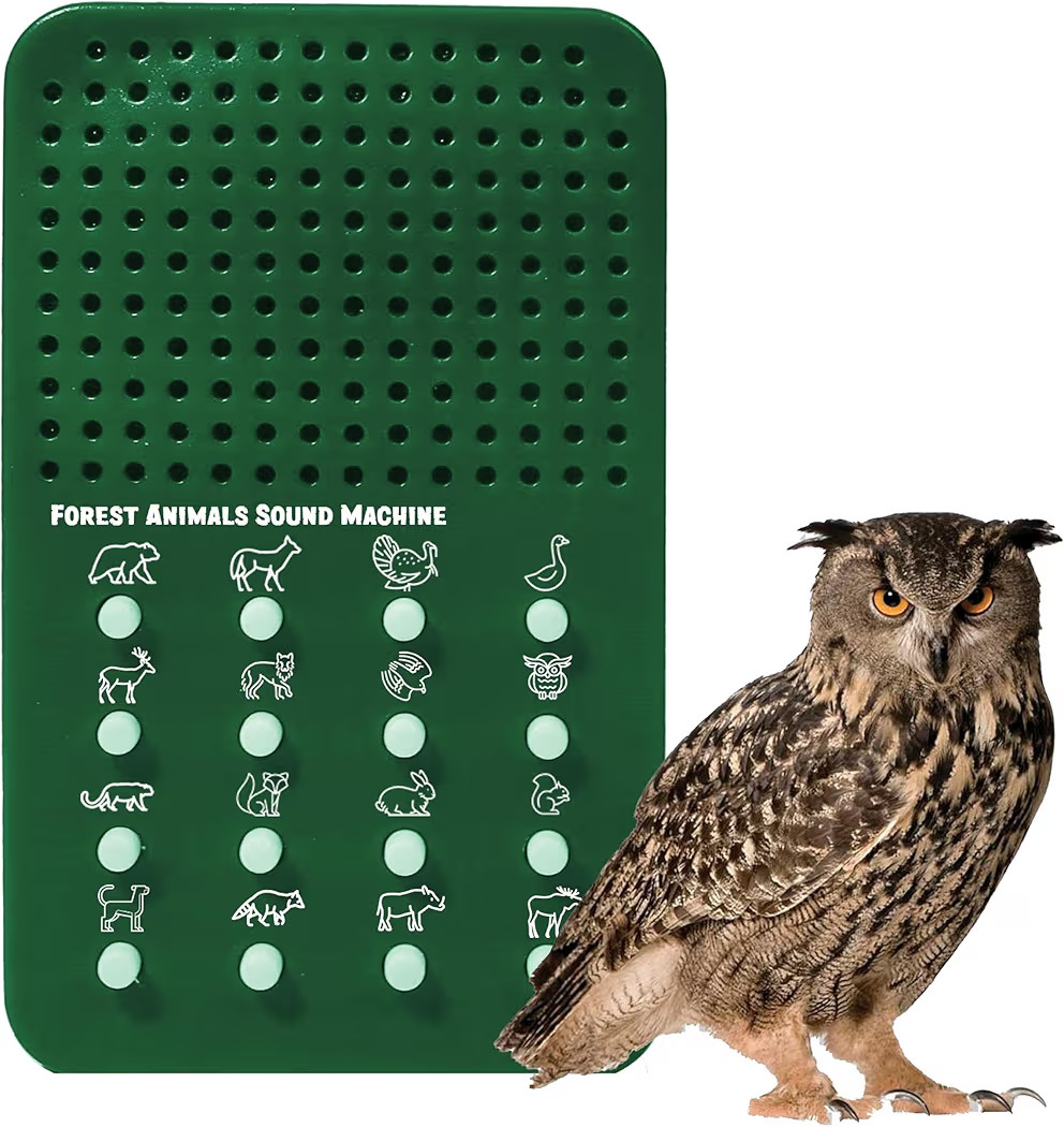 Forest Animal Caller with 16 Different Calls, Hoots, Hollers, Quacks, Noises - Portable Electroni... | Amazon (US)