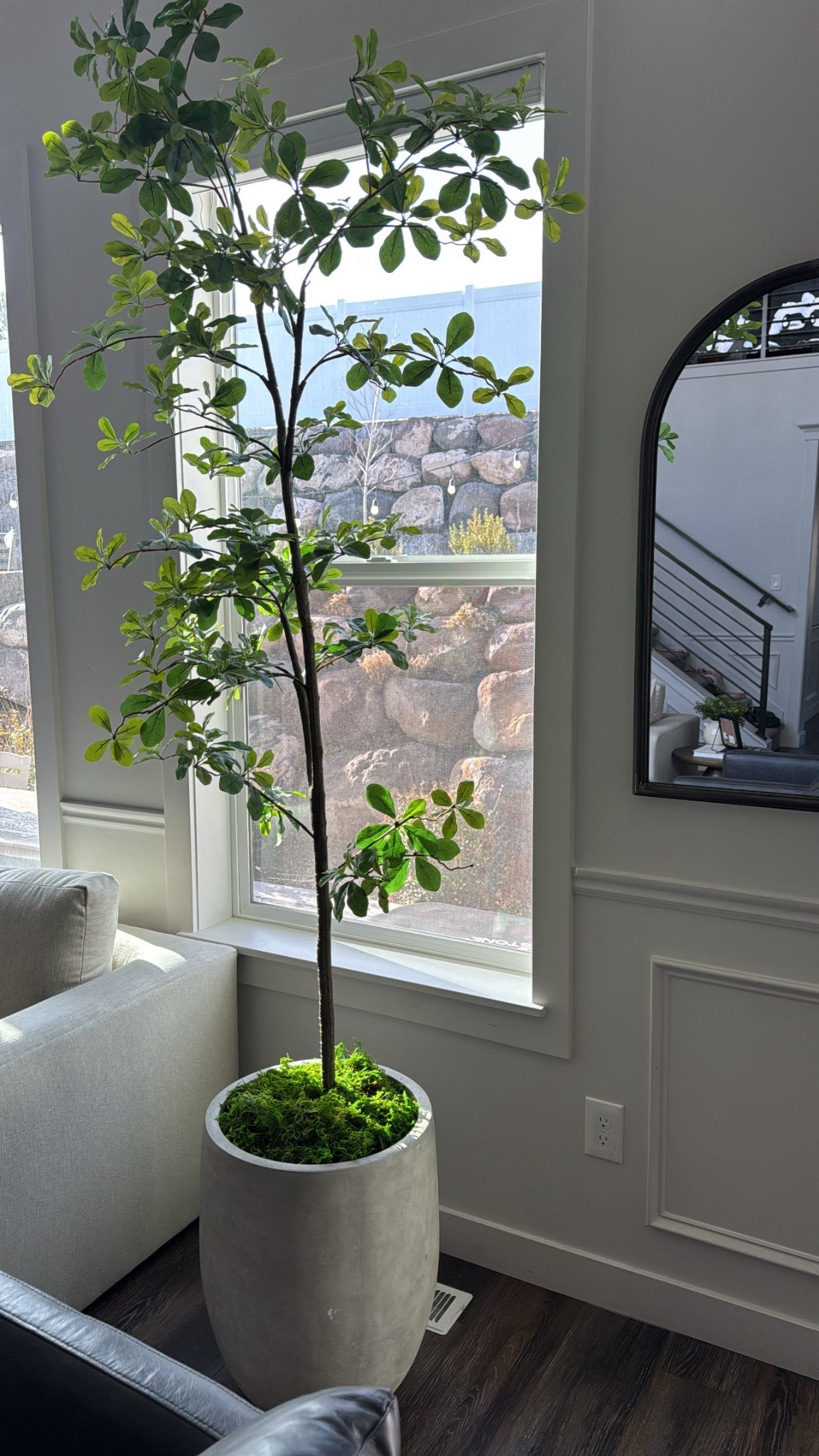 Amazon faux tree designer look for less  ✨ 

#LTKHome