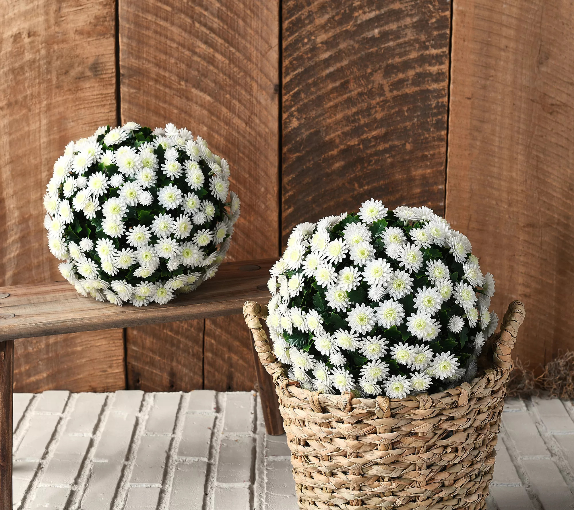 Wicker Park Set of (2) 10" Faux Mum Indoor/Outdoor Garden Spheres | QVC