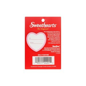 Sweethearts® Teddy Bear Plush in a Mug, Assorted Colors, 14 oz | CVS Health
