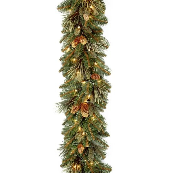 9' Pre-Lit Garland with 100 Warm Clear/White Lights | Wayfair Professional