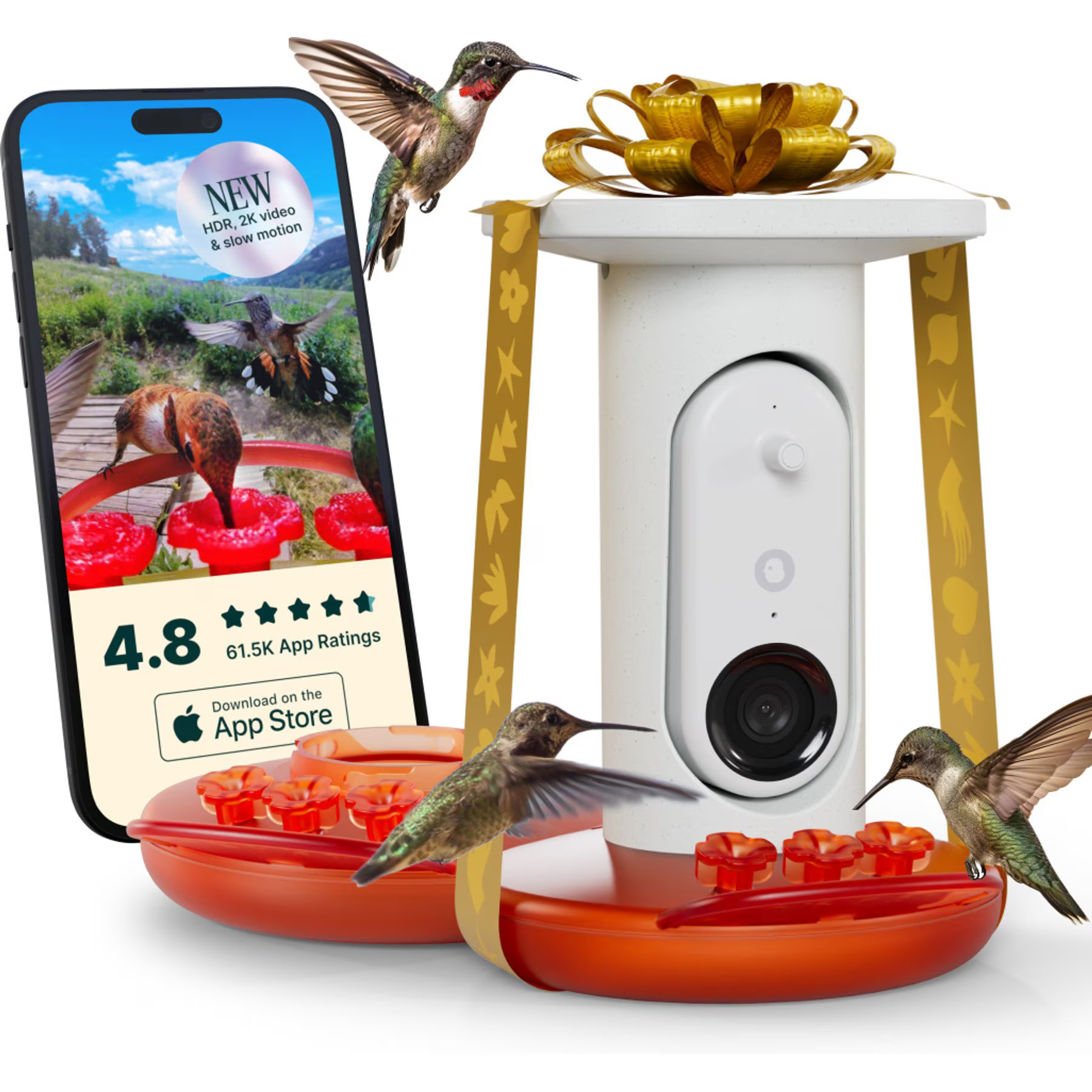 Bird Buddy Smart Solar Pro Hummingbird Feeder with Camera & Extra Base | Chewy