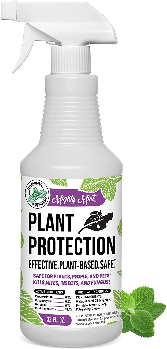Mighty Mint 32oz Plant Protection Peppermint Spray for Spider Mites, Insects, Fungus, and Disease | Amazon (US)