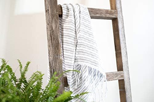 BarnwoodUSA Rustic Farmhouse Decorative Ladder - Our 6 ft Ladder can be Mounted Horizontally or V... | Amazon (US)