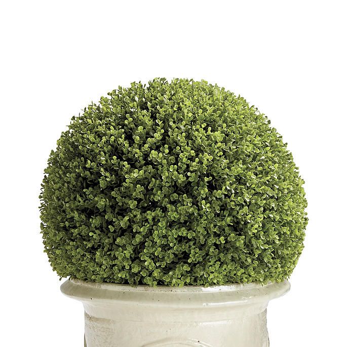 Boxwood Greenery Balls | Frontgate | Frontgate