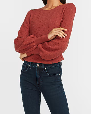 Pointelle Skimming Crew Neck Sweater | Express