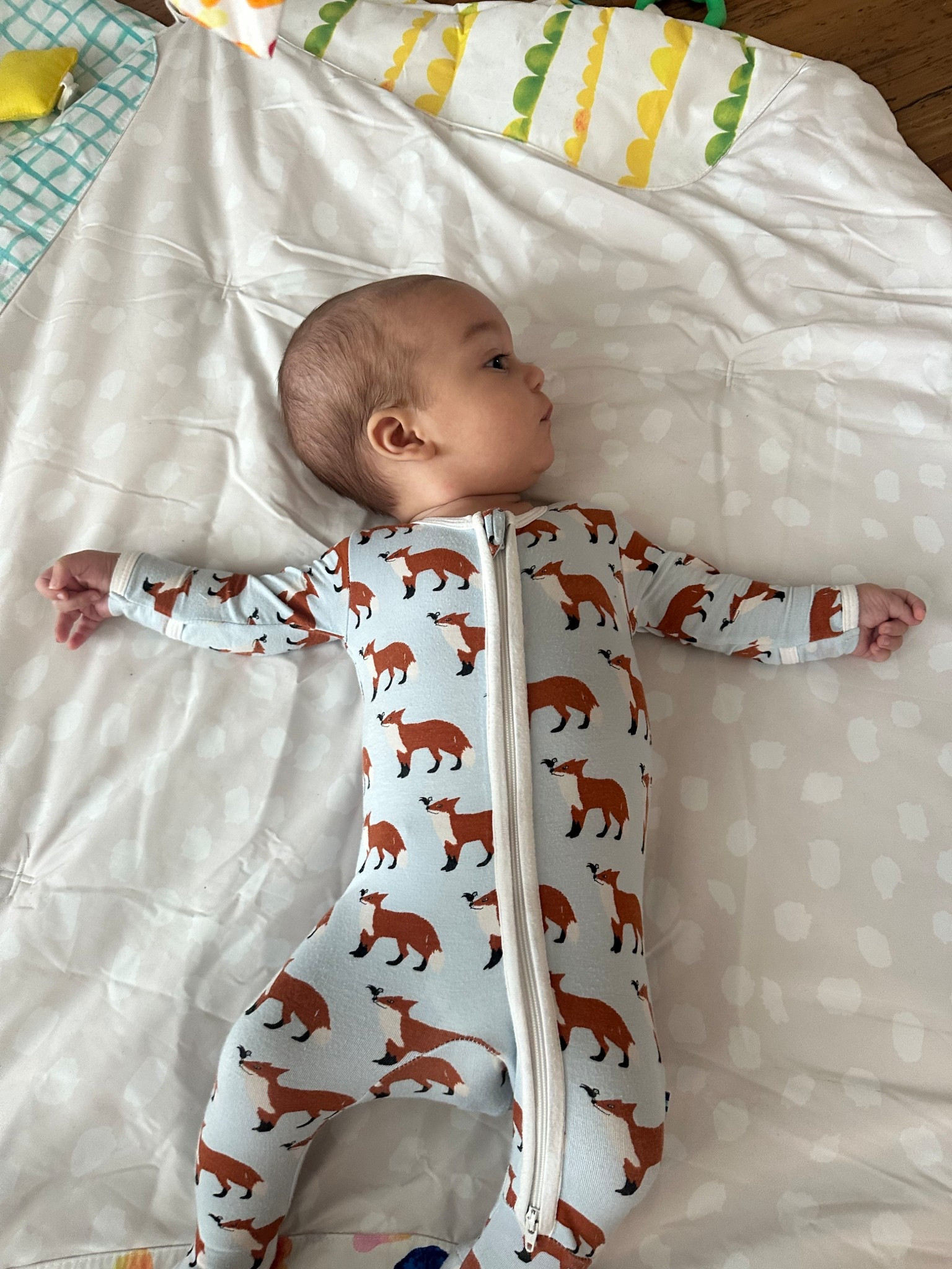 The cutest onesie for your baby boy 🐥🦊✨

#kickeepants #baby #babyclothing #babyclothes #babylove #newborn #newbornessentials #newbornclothing 

#LTKBaby #LTKSeasonal #LTKStyleTip