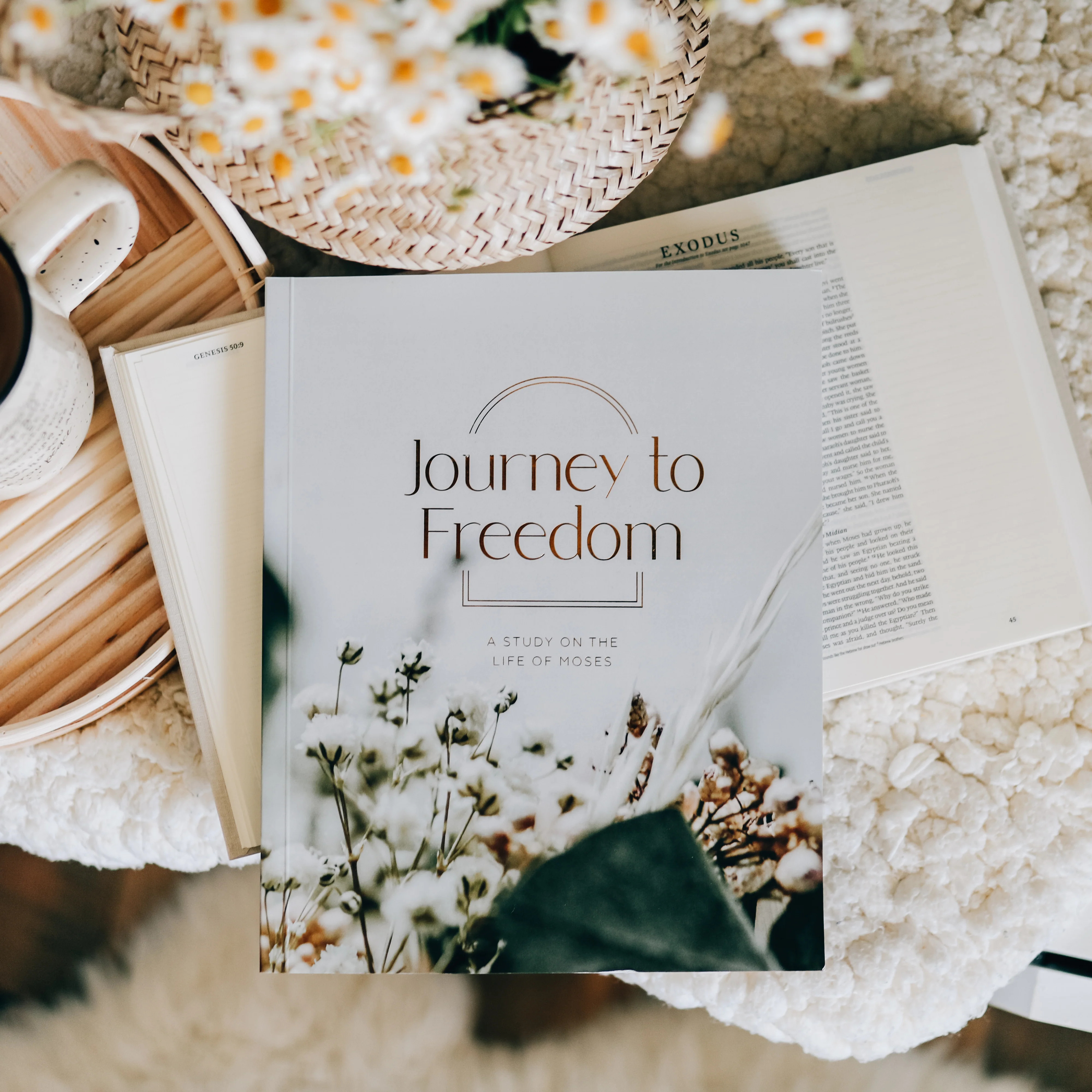 Journey to Freedom | The Life of Moses | The Daily Grace Co.