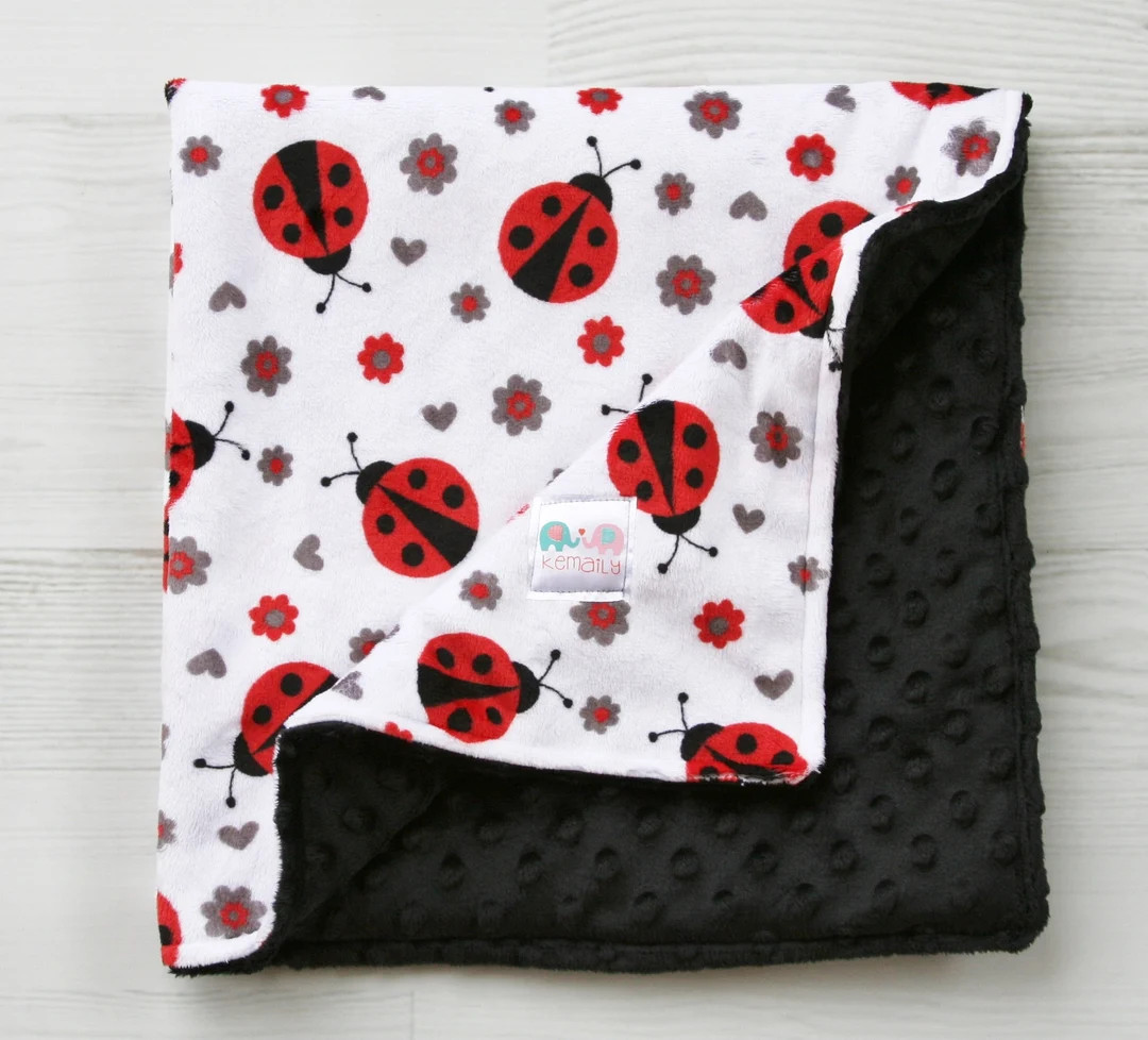 Personalized Baby Blanket, Ladybug Baby Girl Minky Blanket, Newborn Girl Baby Shower Gift, Stroll... | Etsy (US)