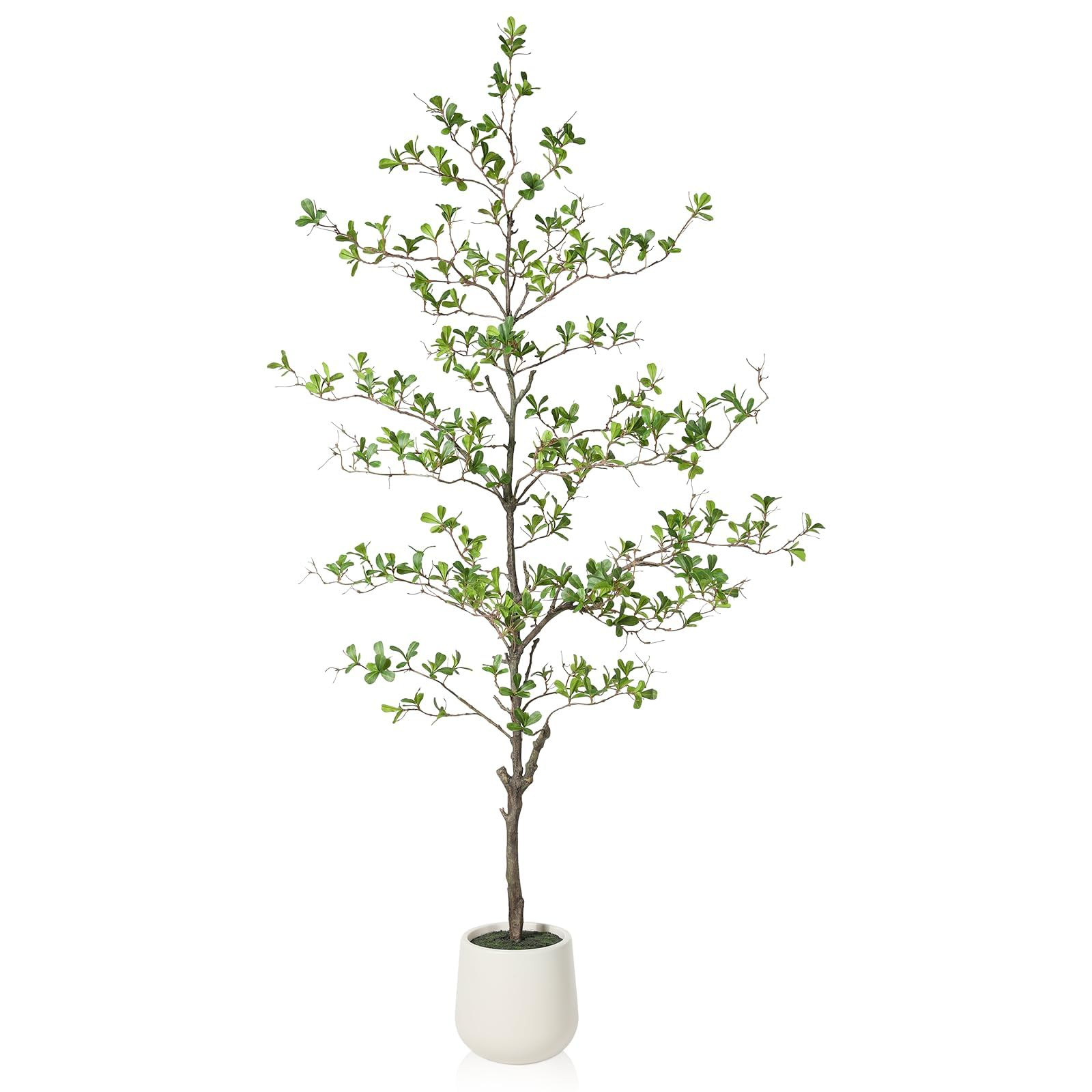 Artificial Black Olive Tree, 6FT Tall Faux Shady Lady Tree, Fake Tree with White Planter and Fake... | Amazon (US)