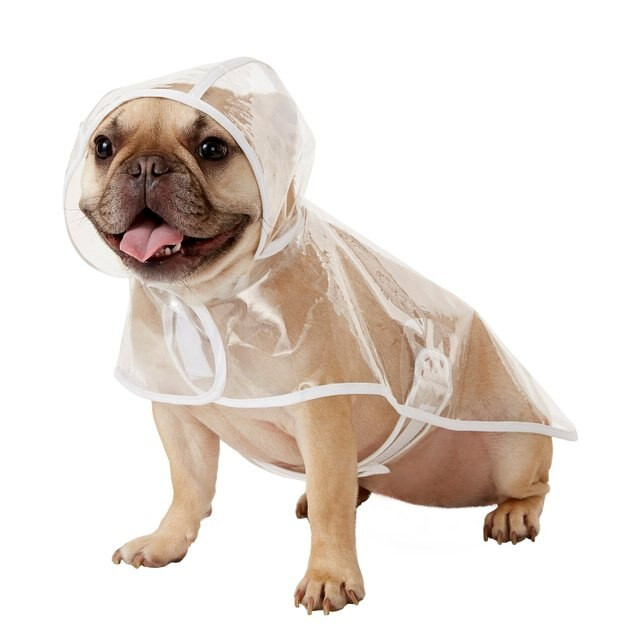 Frisco Clear Vinyl Dog Raincoat | Chewy.com