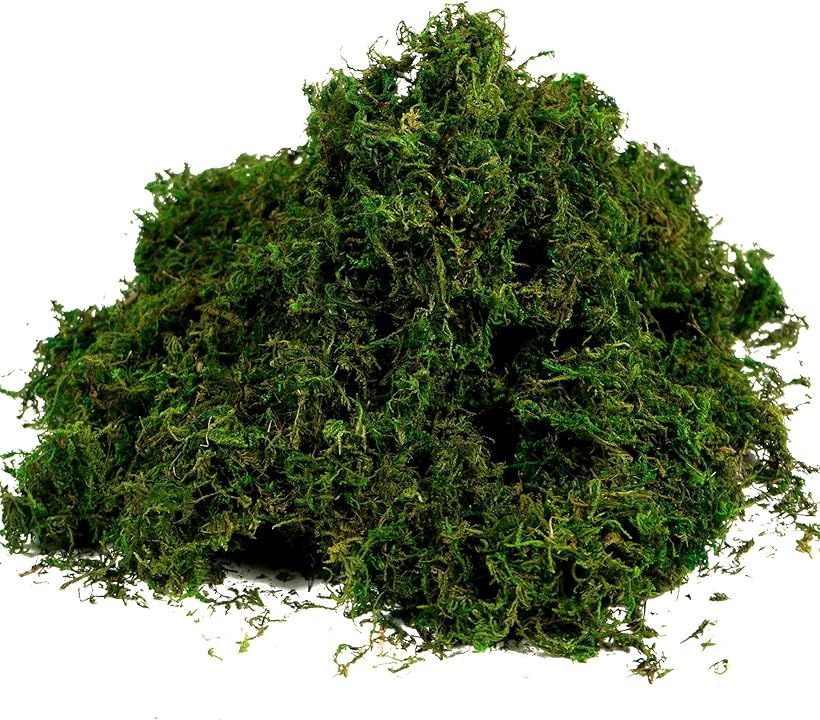 BYHER Artificial Moss Fake Green Grass for Centerpieces Home Kitchen Garden Decor (3.5OZ, Fresh) | Amazon (US)