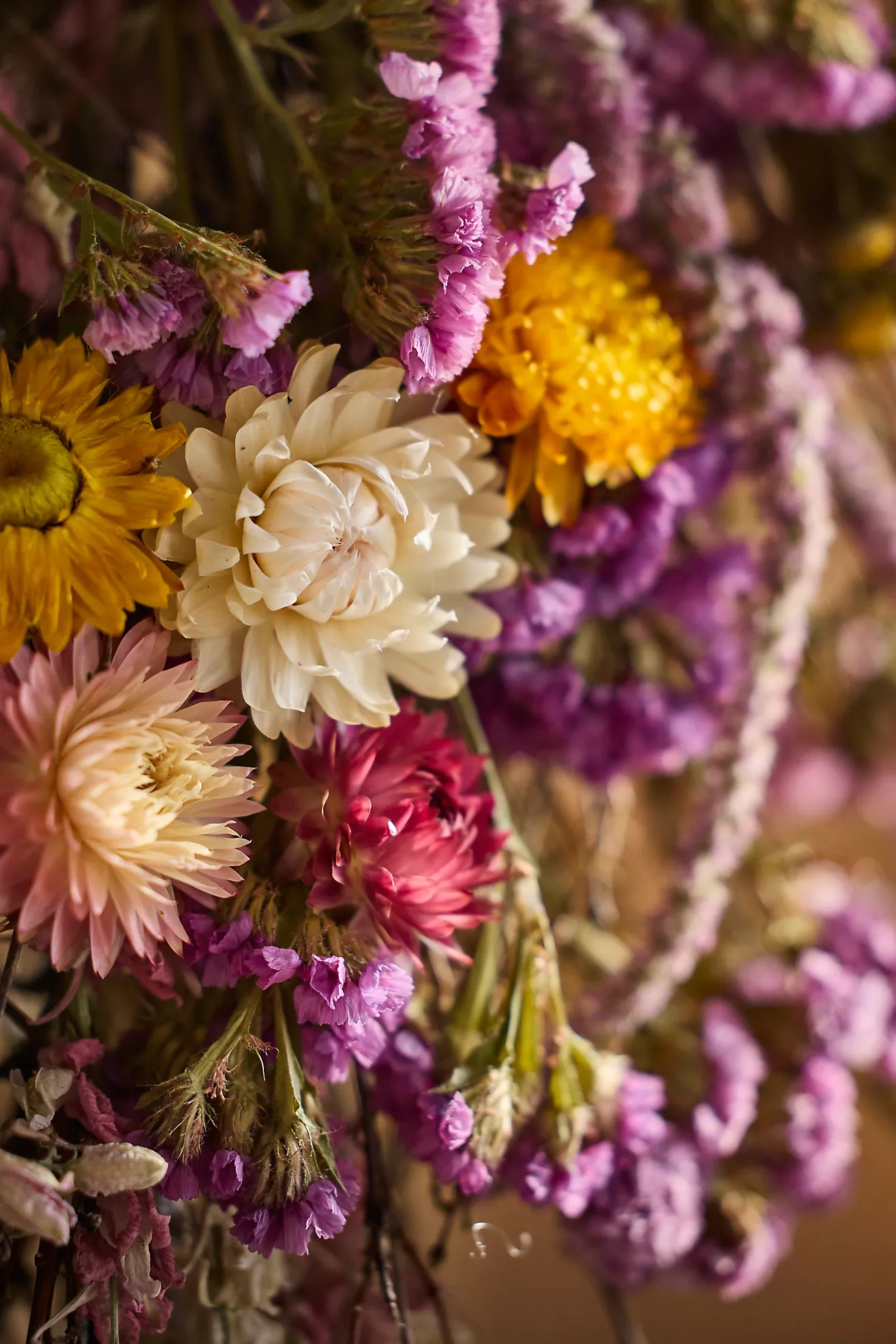 Tansy Garden Dried Wreath | Anthropologie (US)