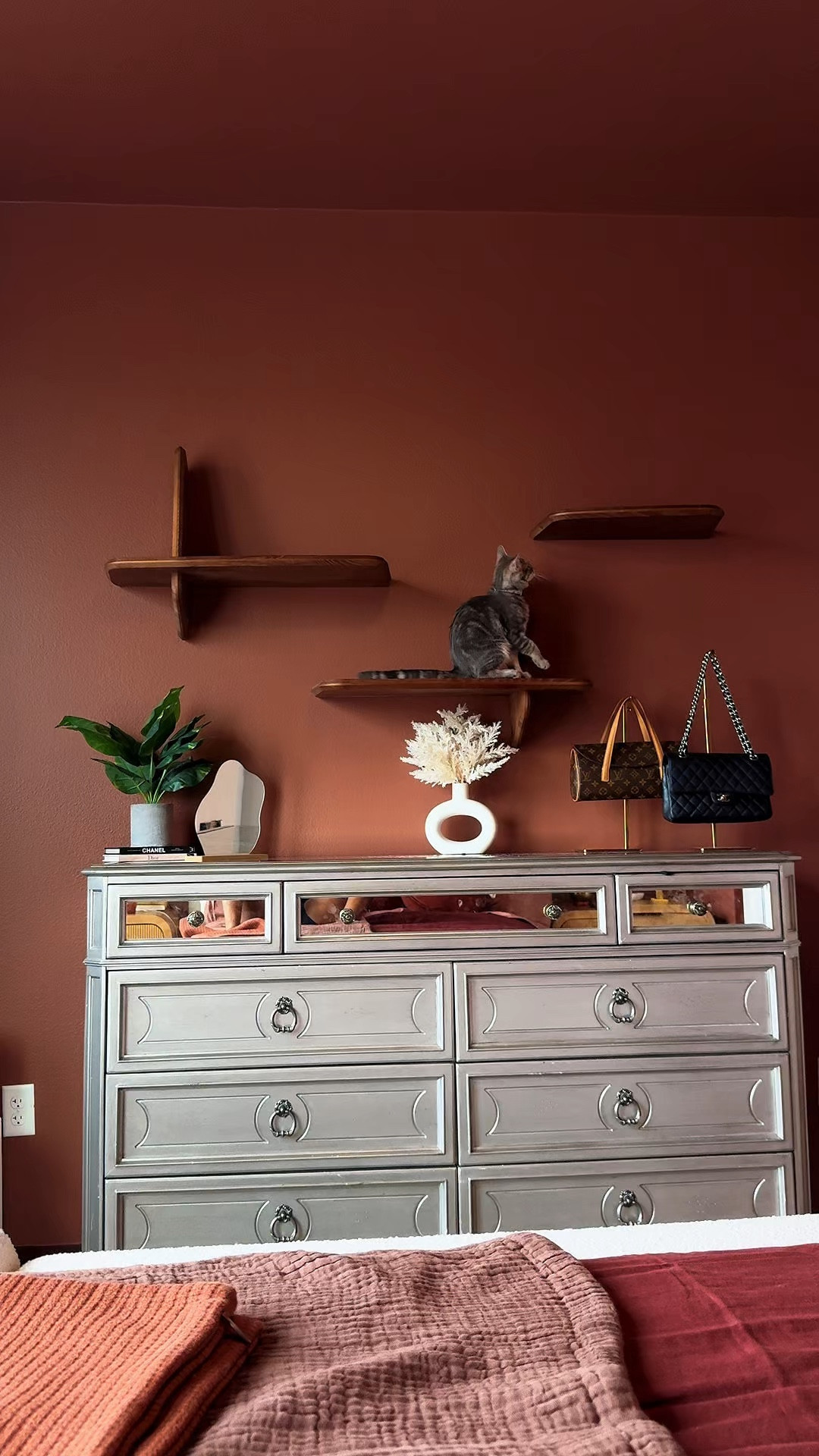 She’s in love with these cat shelves! Linking similar ones 💜🫶🏾

#LTKPets #LTKHome #LTKFindsUnder100