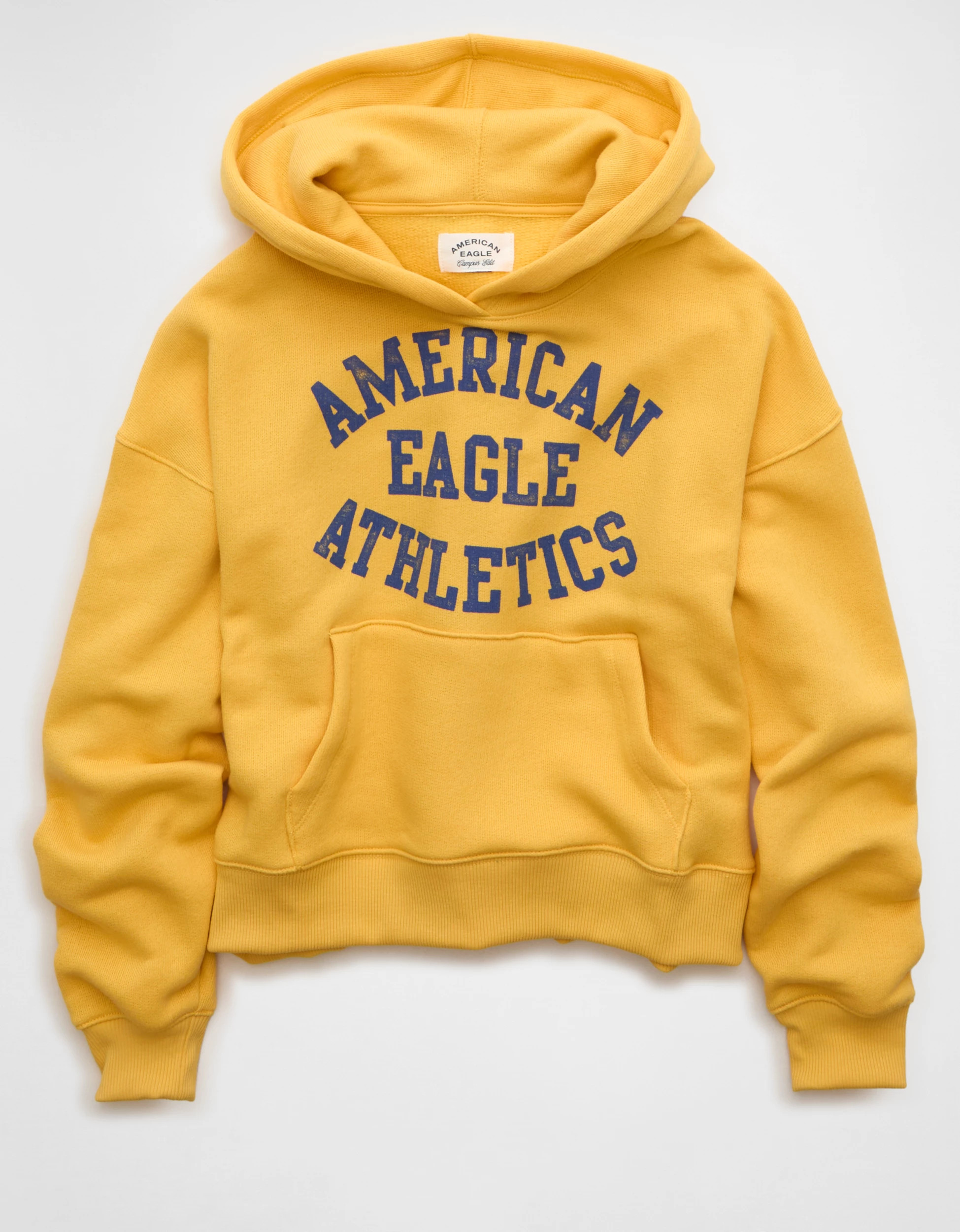 AE Campus Hoodie | American Eagle Outfitters (US & CA)