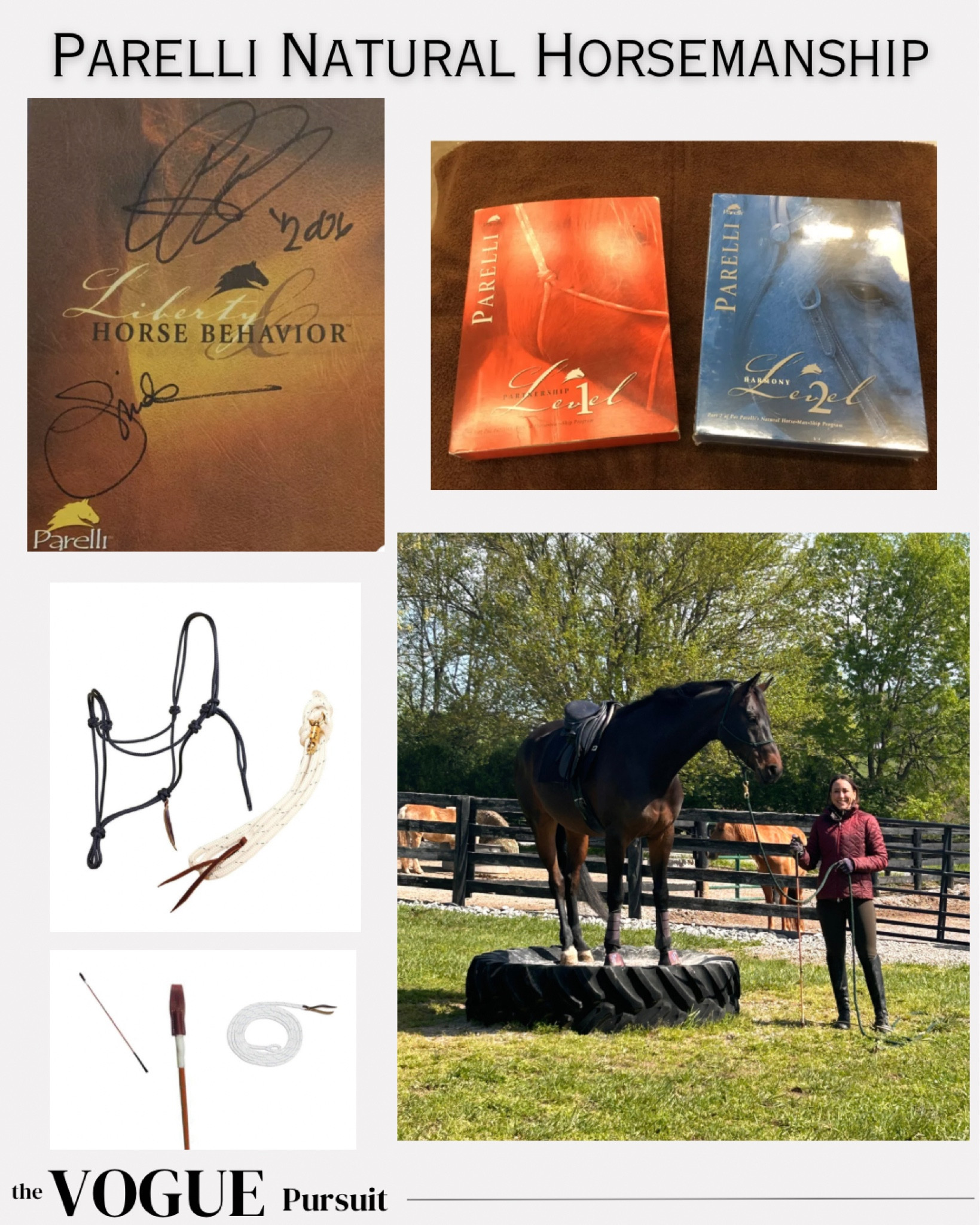 Parelli natural horsemanship tools. Some used, some authentic, some similar. 

Horse
Natural 
Easy
Learning
Videos 

#LTKVideo #LTKfitness