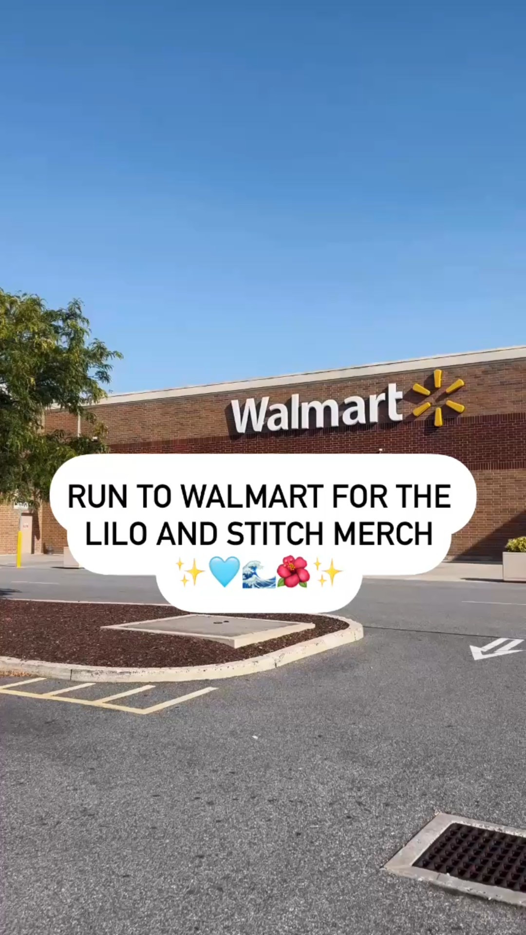 #LTKSummerEdit #LTKSeasonal #LTKFamily