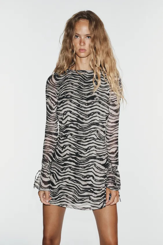 Zebra5039/846/037 | Zara US