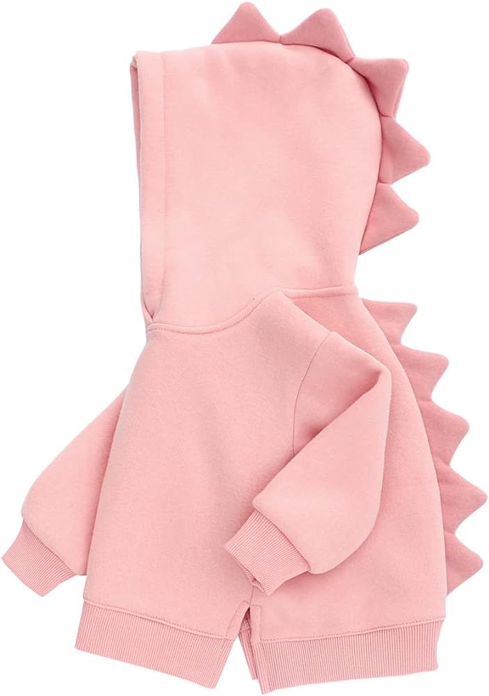 famuka Little Kids Dinosaur Hoodie Toddler Boy Girl Sweatshirt Unisex Casual Tops | Amazon (US)