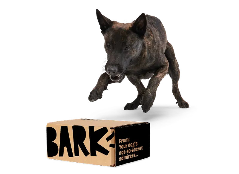 Why BarkBox? | BARK