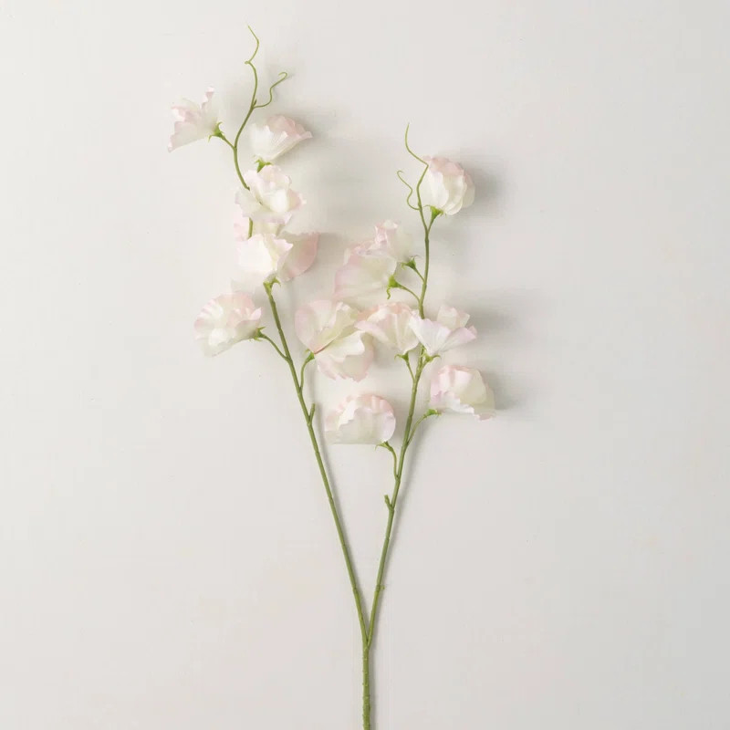 Sweet Pea Stem | Joss & Main