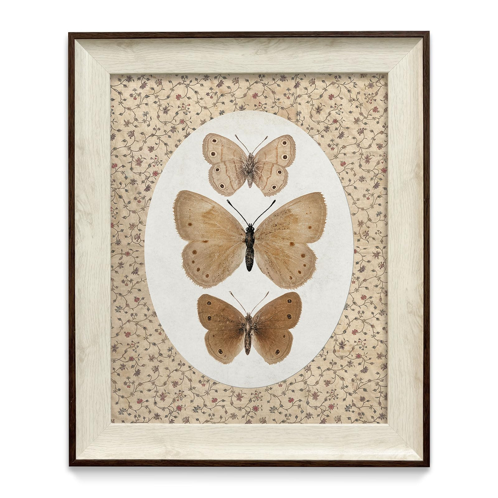 razliubit Butterfly Wall Art Prints, Replaceable Framed Vintage Wall Decors for Room Aesthtic, Sm... | Amazon (US)