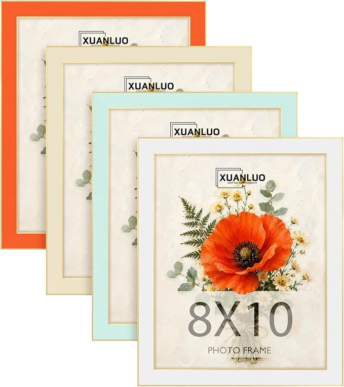 8x10 Modern Picture Frames, Colorful photo frames Set of 4(Multicolor) | Amazon (US)