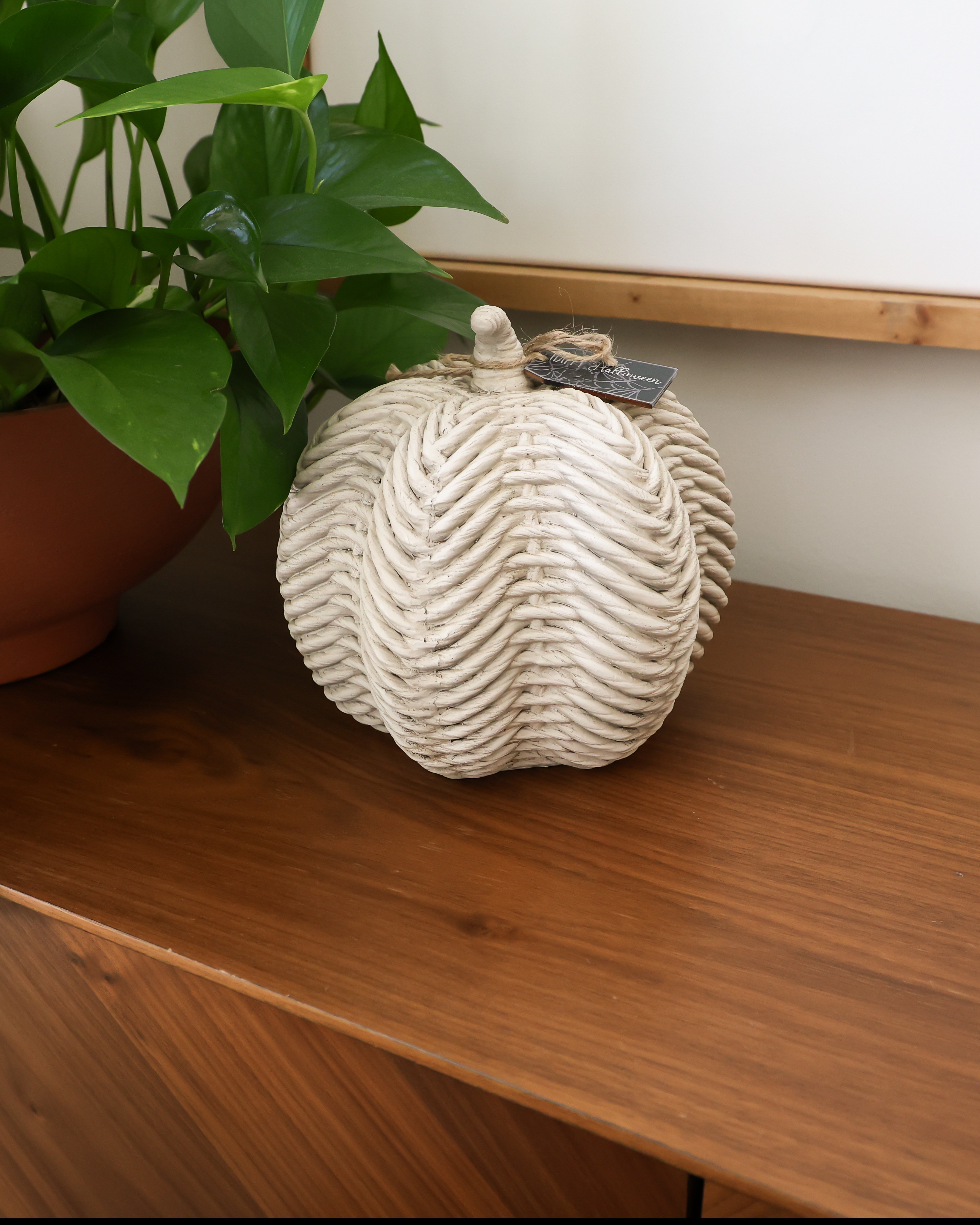 Back in stock! I absolutely love this pumpkin!  

 