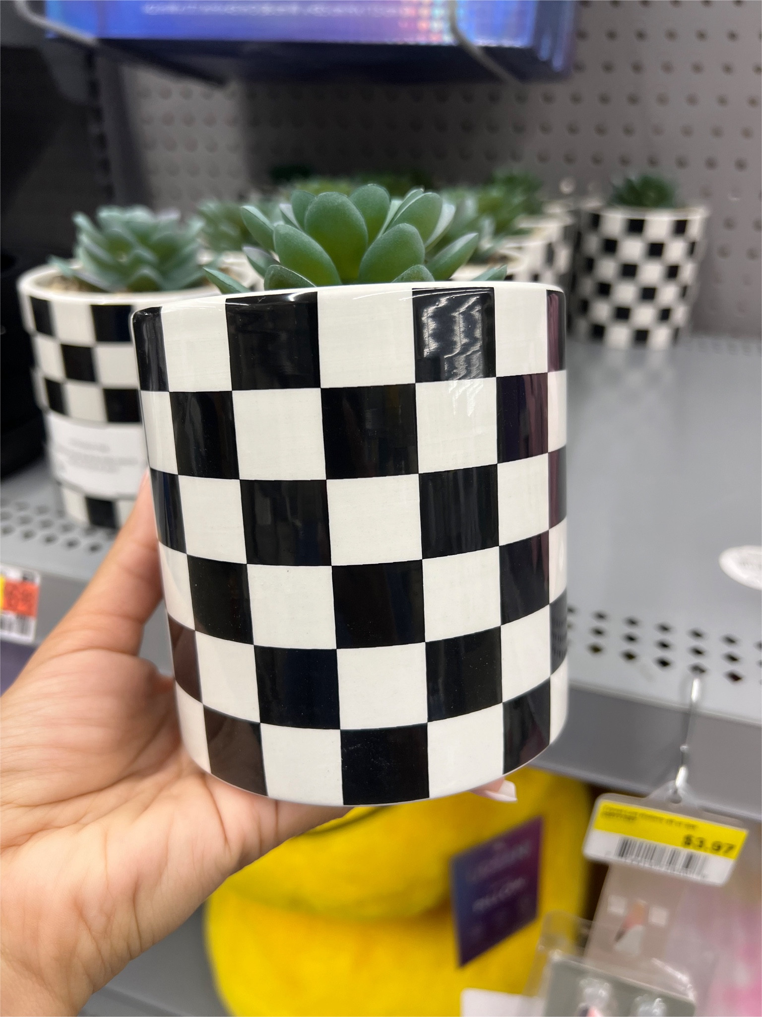 Checkered Room Decor 🤍🖤


#walmart #checkered #check #succulent #faux #decor #roomdecor #pillow 

#LTKGiftGuide #LTKSeasonal #LTKHome