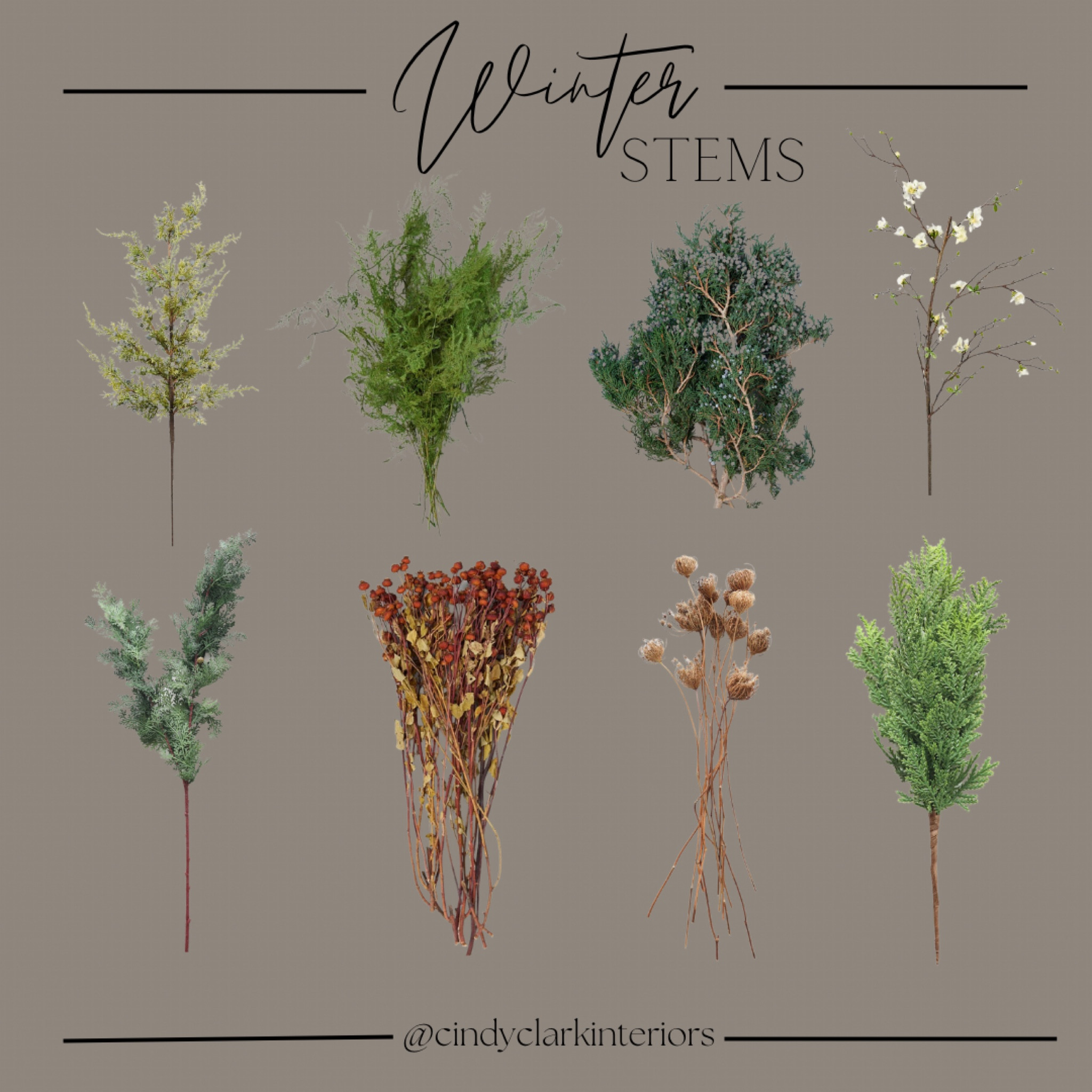 If you’re like me, you’re looking for stems to fill your empty vases now that Christmas is over! Love these from Afloral.

Winter stems, floral, dried, greenery

#LTKhome #LTKunder50 #LTKstyletip